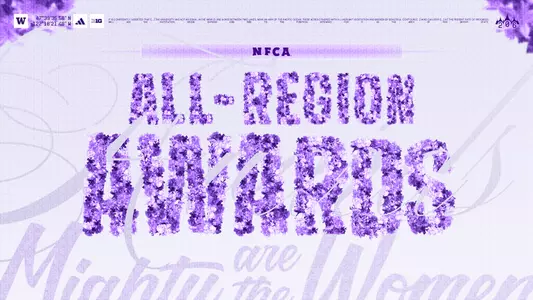 Softball NFCA All-Region Awards generic graphic