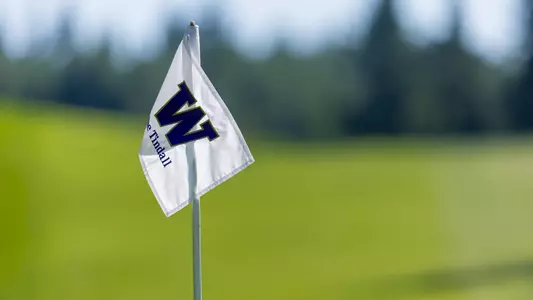 The Tindall flag stick stock photo