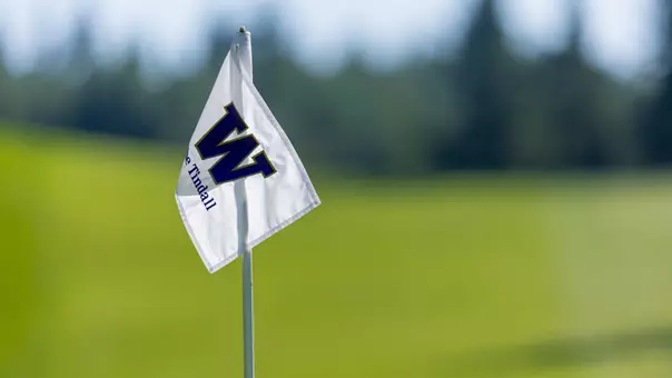 The Tindall flag stick stock photo