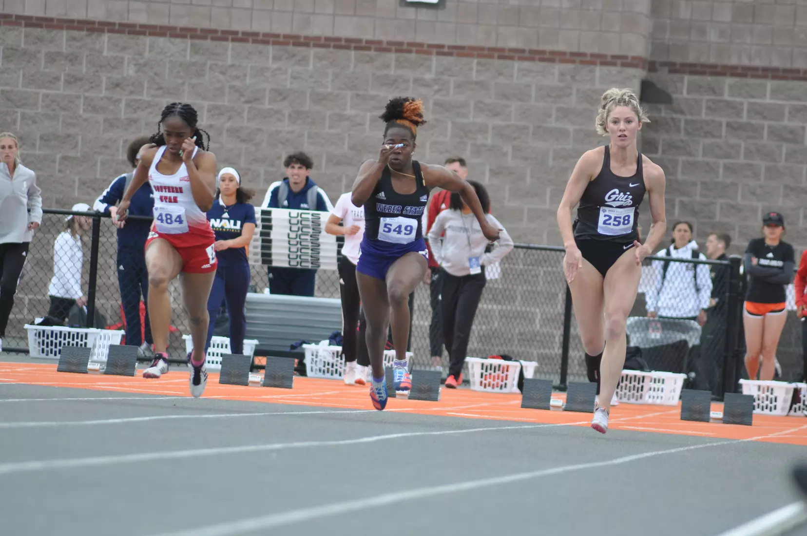 Riley Roberts BSC 100 -