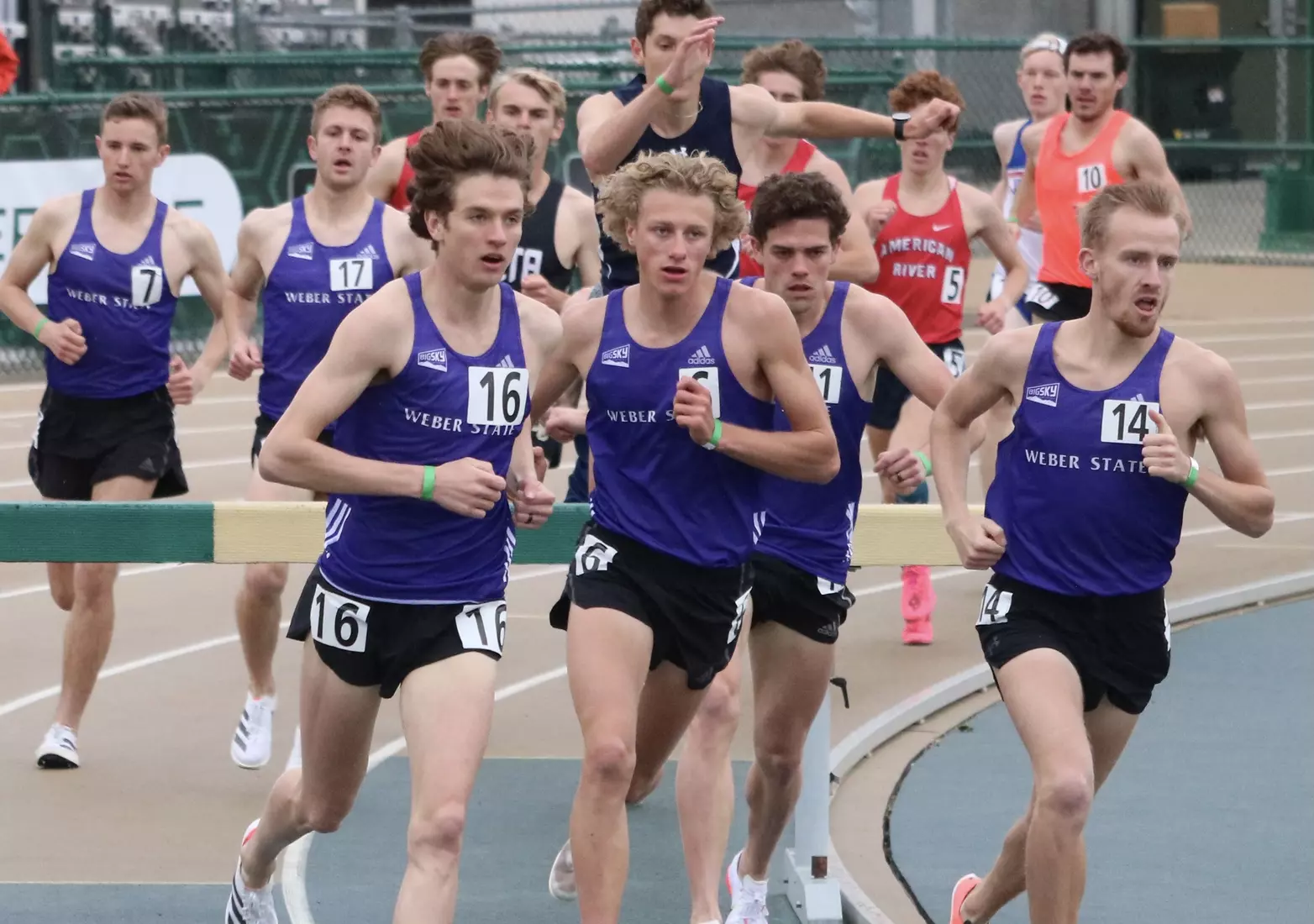 Steeple Chasers together