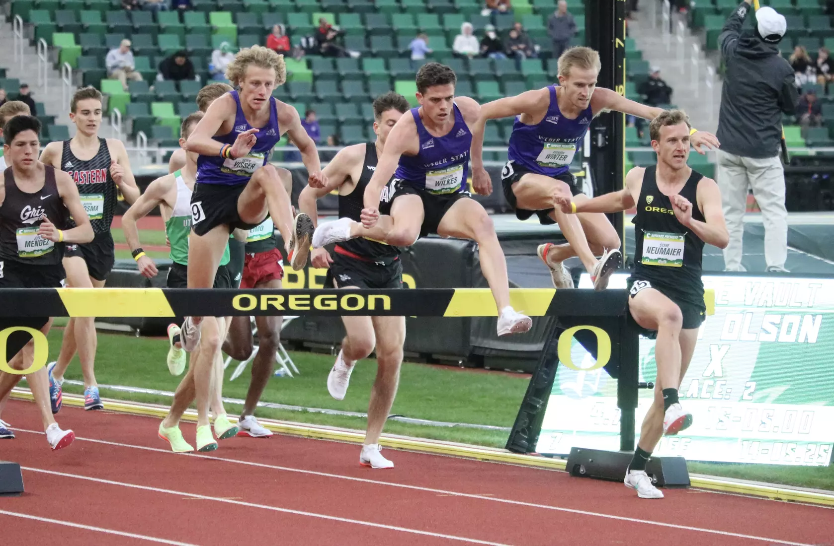 Steeplechasers at Hayward