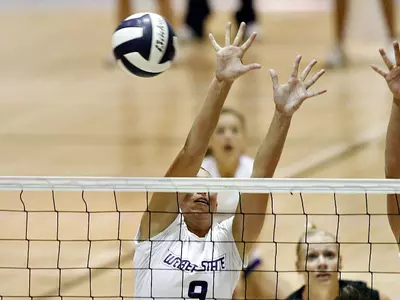 'Cats Defeat Spartans in Five Sets