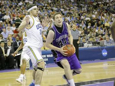 'Cats Fall to Cal State-San Bernadino