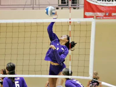'Cats End Season With 3-1 Win Over Bobcats