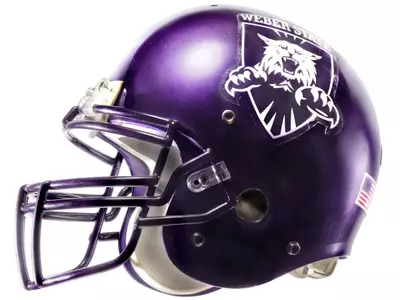 Seven Wildcats Named Pre-Season All-America