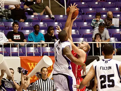 Wildcats crush Laval for exhibition win