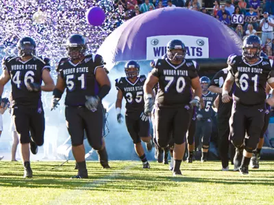 Wildcat Fan Fest set for Saturday