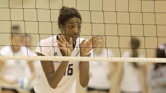 Volleyball hosts Purple & White match on Saturday
