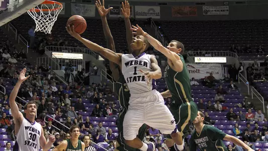 Wildcats win fourth straight 74-63 over Hornets