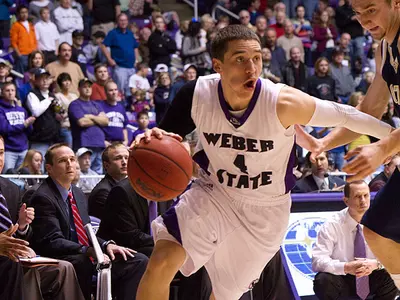 Wildcats 19th in Preseason Mid-Major Poll