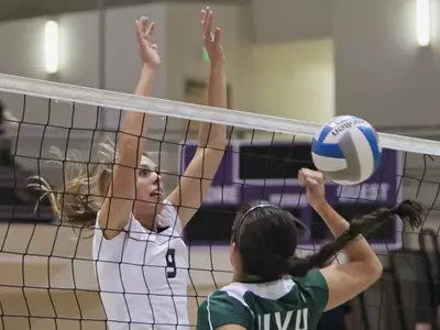 'Cats fall in five sets to Wolverines