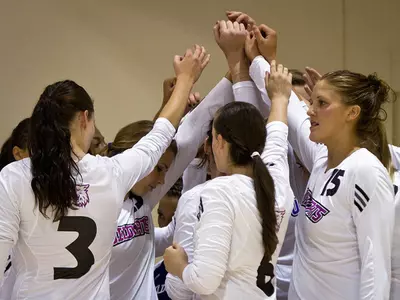 Wildcat volleyball to host Utah State