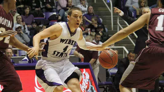 'Cats move to 6-0 in Big Sky with win over Grizzlies