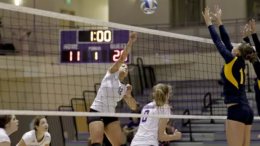 Wildcats suffer three-set loss to Wolverines