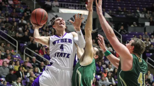 Wildcats win ninth straight 65-56 over Hornets