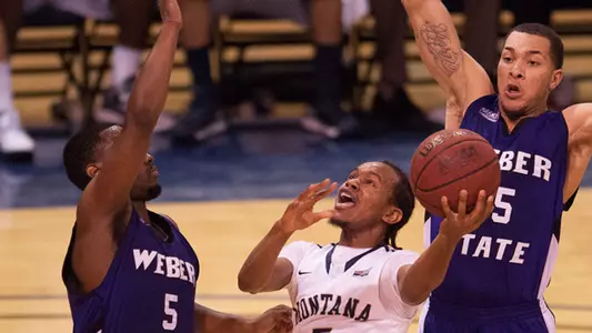'Cats drop first Big Sky game 79-74 at MSU