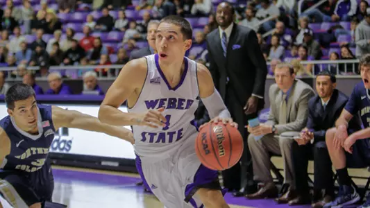Wildcats beat Bears 79-54 to start 3-0 in Big Sky