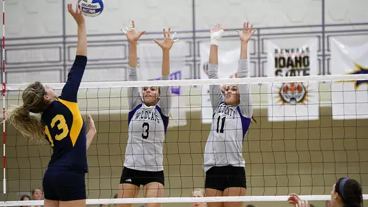 Wildcats Swept by NAU