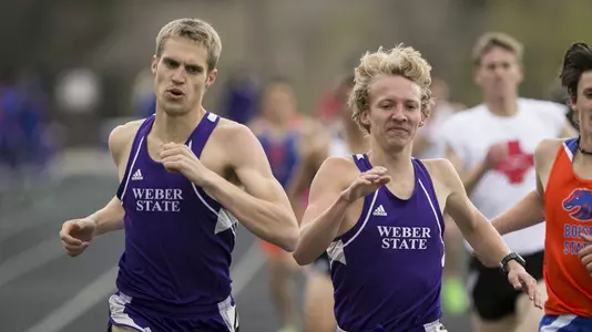 Cats look to continue hot start at UVU Friday