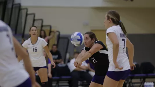 Co-MVP Tarbox leads 'Cats to tourney title share