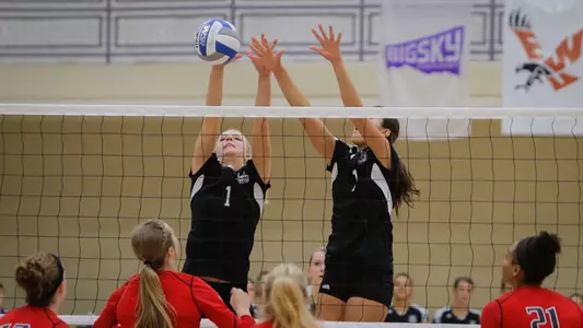 Wildcat volleyball heads to Wolf Pack Invitational