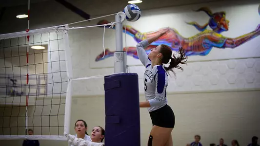 Tarbox reaches 1,000 digs, Wildcats fall in five