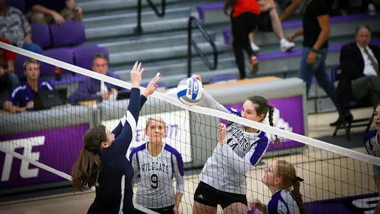 Wildcats take care of Bears in four sets