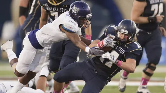 Wildcats drop game 23-13 at #9 Montana State