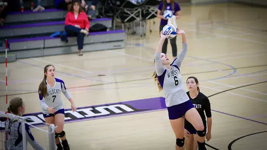 Wildcats lose to Montana State in four sets