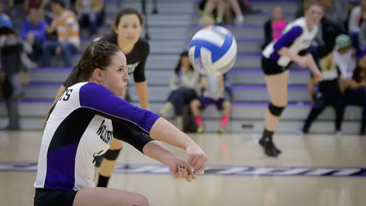 Wildcats defeat Hornets in five-set thriller