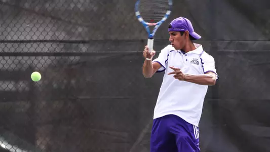 'Cats Down Hornets to Stay Unbeaten in Big Sky