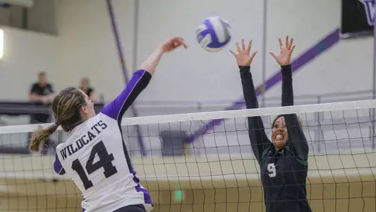 Still looking for Big Sky win, WSU falls to NAU