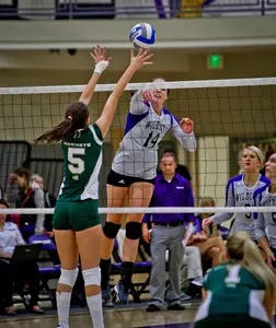 WSU's efforts fall short, fall to Idaho 1-3