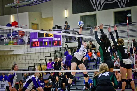 Wildcats snap losing streak; take down MSU 3-0