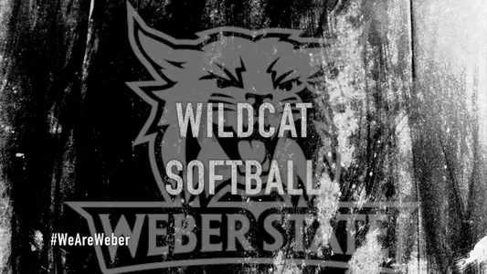 Wildcat softball summer camps information