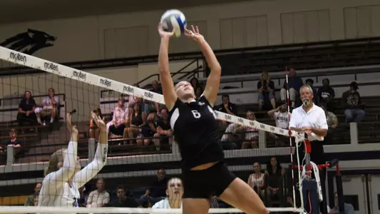 Four 'Cats reach career highs; fall to Nevada 3-2