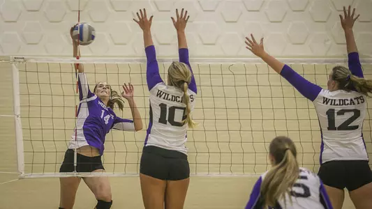 Wildcats go undefeated at the CEFCU Classic