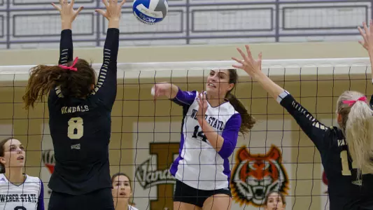 Weber State takes down Idaho 3-1