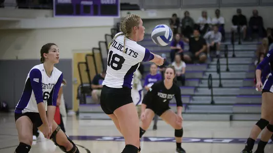 Weber State falls to Idaho State in three sets