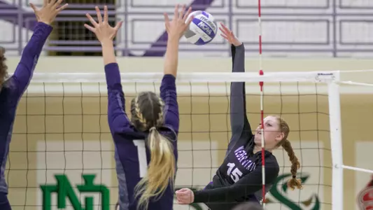 Wildcats fall 3-0 to Portland State
