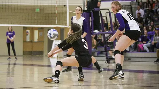 'Cats swept by Sac State in final Big Sky match