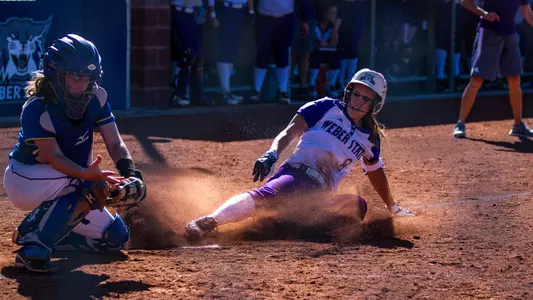 Wildcat softball begins 2016 in California
