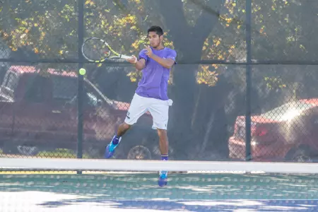 Wildcats take down Hornets 6-1; remain undefeated