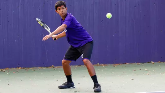 Wildcats fall 4-3 to Hornets