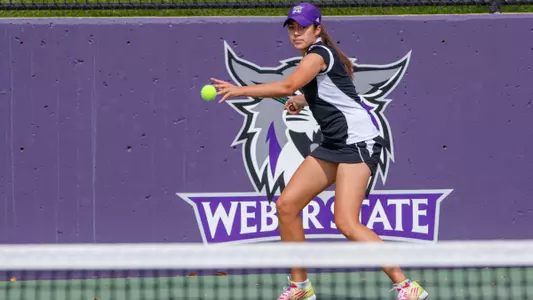 Wildcats end regular season with 6-1 loss to NAU