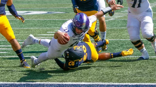 Stefan Cantwell 2017 at Cal