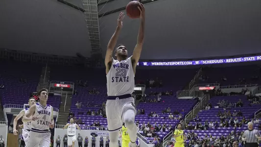 Brekkott Chapman 2018 - NAU