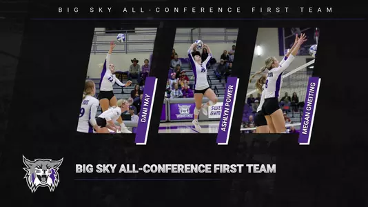VB All-Conference