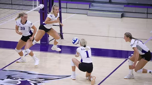 VB team action